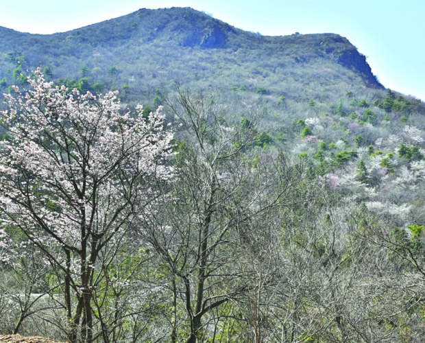 �����ѻ� �����ф��z��