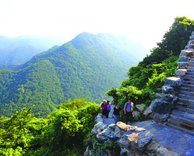 �`�و�-��ȶ��µ������ŵ������ф��z��