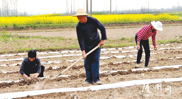 �S�h��ɽ�(zh��n)�ƏV�ͺ���(j��ng)��(j��)����Nֲ���_���r(n��ng)�I(y��)��Ч�r(n��ng)������