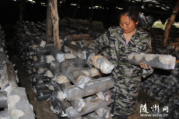 ����(zh��n)�ſ��߸���Ģ�����I(y��)���������T��æ�����㹽����