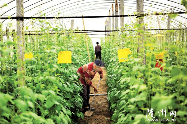 �S�����B(t��i)�@���M���ʹ���Nֲ���g(sh��)�����a(ch��n)�o�����߲�