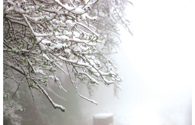 ���ɽ������픽����Zë��ѩ