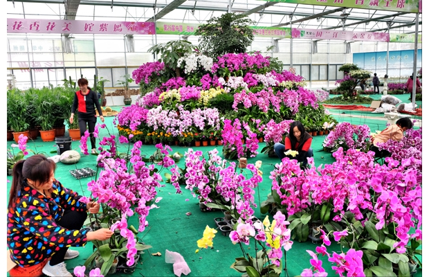 �S��ޥ�m�����B(t��i)�Ƽ����޹�˾���ڽM���@ˇ���˾o��ܹĲ�չ