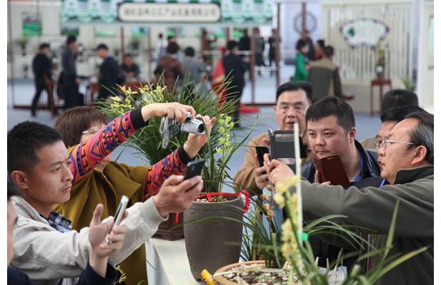 �S���m�����[��(hu��)�F(xi��n)����