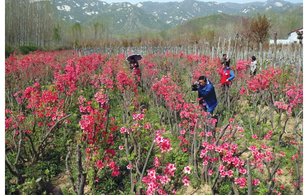 �S�h�߼��Ұ�����N��ǰ�����_��