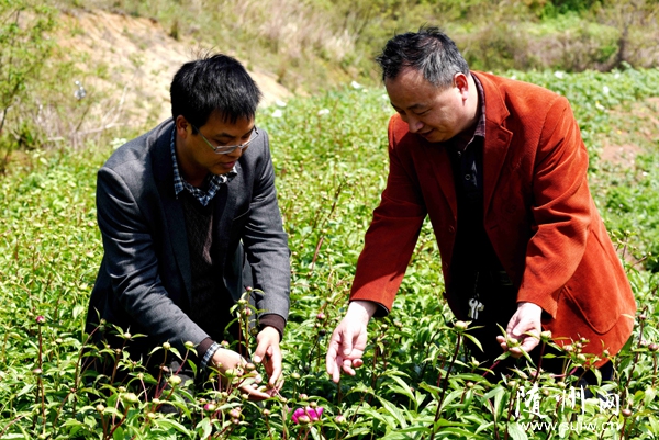 �S�h�ݵ��(zh��n)�������ξ��c�����l(f��)չ�^���r(n��ng)�I(y��)