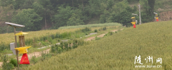 �����r(n��ng)�I(y��)���T��ӏ�(qi��ng)�r(n��ng)���ﲡ�x��������Ͷ�Yُ�Iһ��ȫ�Ԅ�(d��ng)�l��ʽ̫��ܚ��x��