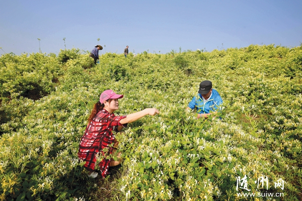 �S��־Ը�ߎ����h(hu��n)̶�(zh��n)�ؘ䞳������ժ���y��