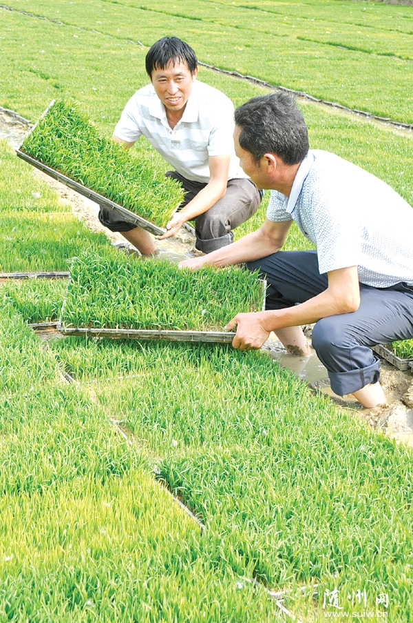 �����(zh��n)Ư�Ӵ�ŽM�r(n��ng)�������^������������ˮ�����P