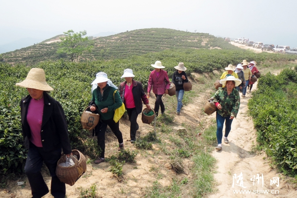 �����S�h�ݵ��(zh��n)�ͺ�����ꖵļ�ͥ�DŮ���������@����܇��ɽ��ժ���~