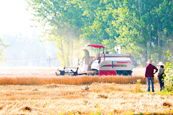 �S�h�����(zh��n)��Ժ���r(n��ng)�������ո�С��