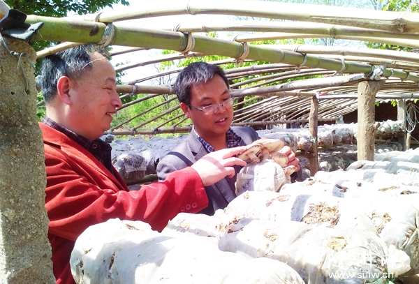 �S�h��ؚ�k�ɲ��ڲݵ��(zh��n)̴ɽ���˽⹽�r(n��ng)������r