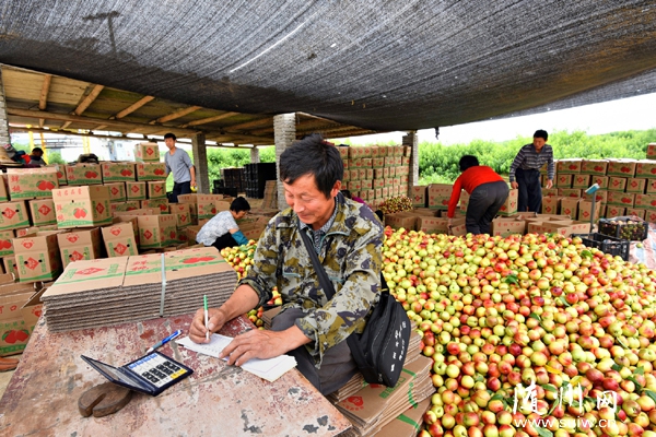 �������Ҵ��S��