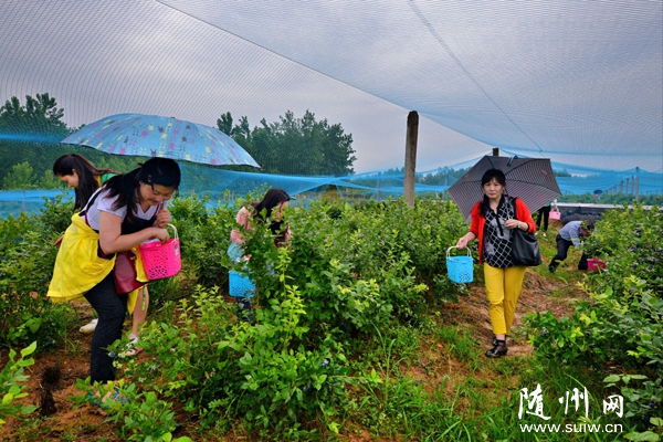 �S������ð���ժ�{(l��n)ݮ