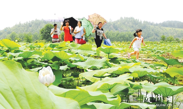 �ɻ�ʢ�_���ˁ�