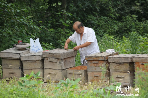 �����^(q��)�Ͻ��k��̎���r(n��ng)ͨ�^(gu��)�B(y��ng)���������¸�·