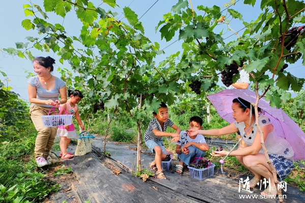 �S�ݳǅ^(q��)���������L���������w���@����