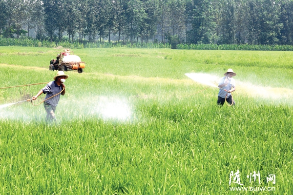 �����(zh��n)�r(n��ng)���������ĽM���r(n��ng)��ӏ�ˮ���������