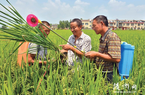 �����(zh��n)�r(n��ng)�I(y��)���g(sh��)��������ָ���r(n��ng)����β��x��