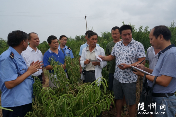 �f�깤������Ոʡ�r(n��ng)��Ժ���ҵ�ԓ�(zh��n)�鮔(d��ng)?sh��)طNֲ�������g(sh��)�b��