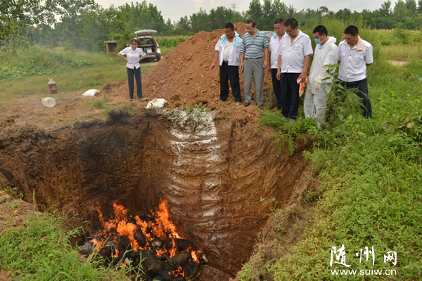 ���^(q��)�����l(w��i)���O(ji��n)������ݠ�^(q��)��(n��i)������ԡ������Ͼ��������M�Џ����ך����D��