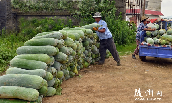 �����(zh��n)κ���M���r(n��ng)���_չ���w�׷N��׌�r(n��ng)������