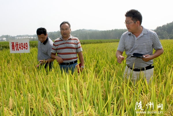 ʡ�r��Ժ��ʿ�c�����^(q��)�Ƽ����Ҵ�Ժ�����_չ�е�����Ѩֱ��ʾ��Ƭ�Nֲ