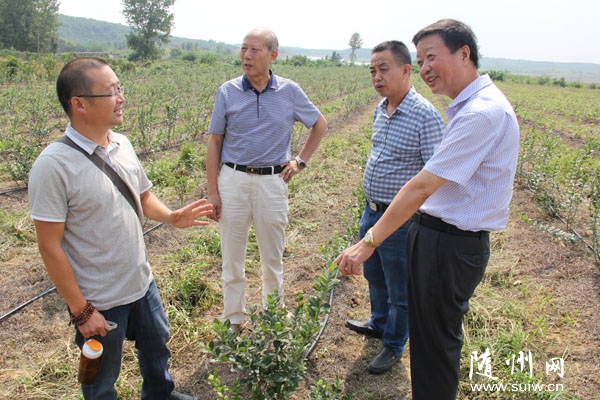 �S�����ϴٕ�(hu��)�I(l��ng)��(d��o)���S�h�f���{(di��o)���{(l��n)ݮ�ԷN��r