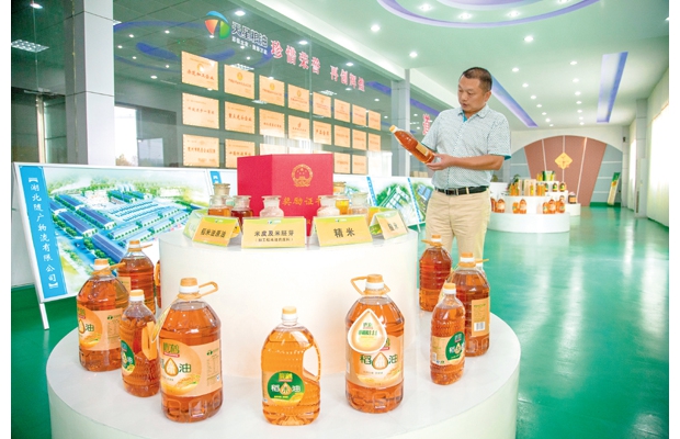 �������ǼZ�����Ї�(gu��)ʮ�ѼZ�ͳ��L(zh��ng)����I(y��)�ͺ���ʡ���ļZ��ʾ����I(y��)