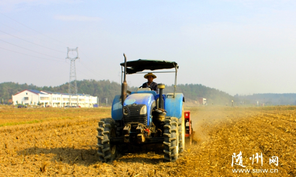 �����^(q��)�ε��(zh��n)��������С�������������ˎ��һ�w�ĸ�Ч�Nֲ��ʽ