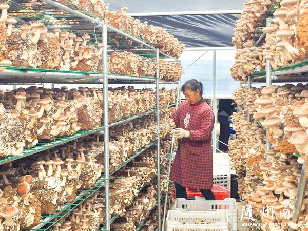 �����׵ۿƼ���˾�½��ɔ�(sh��)ʮ�����ܜؿش���