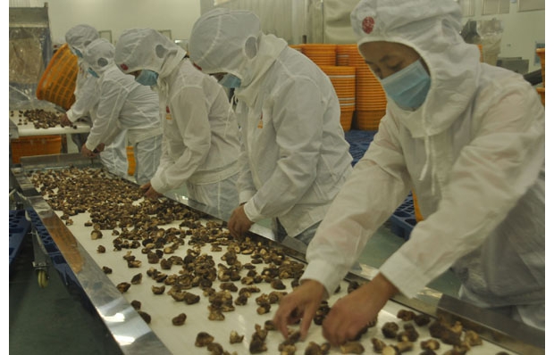 ����ԣ�����I(y��)���޹�˾�S�h���،�(sh��)�F(xi��n)�o������