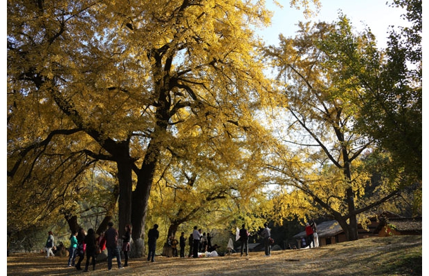 ��ɫ���磨����y�ӹȣ����O��� �z��