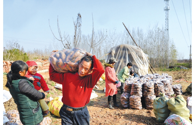 �S�h�ƿh�(zh��n)����r(n��ng)�I(y��)�������ɽ�|���M(j��n)�t���Ѳؼ��g(sh��)���r(n��ng)����