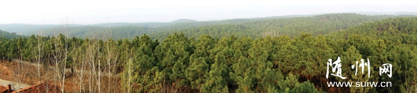 ʮ�꾫���o(h��) ����׃�ֺ����������(zh��n)�����ɽ���¡����I��ܡ�ģʽ̽�L