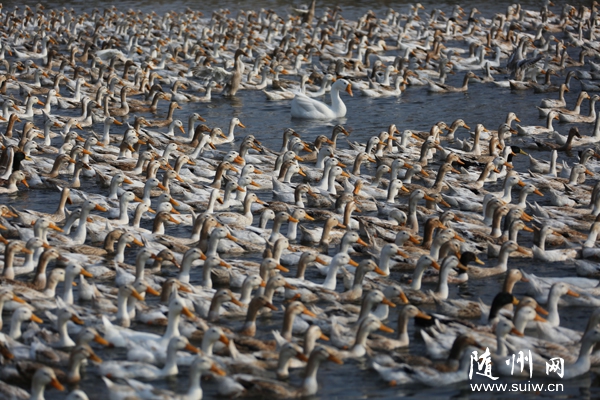 ����(zh��n)؞�f���r(n��ng)������ˮ���YԴ���e�O�l(f��)չ�B(y��ng)ֳ�I(y��)