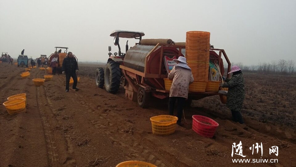 �W������˾�M���Cе�������(zh��n)�������ɯ���M�Г���