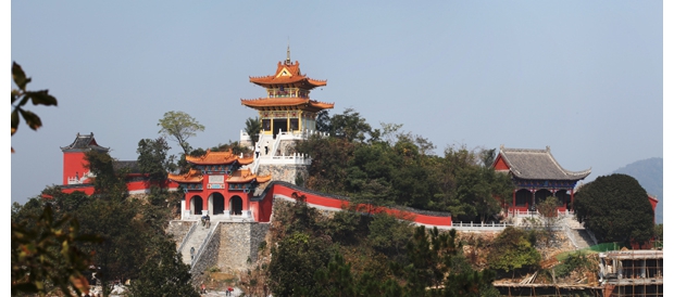 ǬԪ�^�������z������y�ӹȣ���㑔z