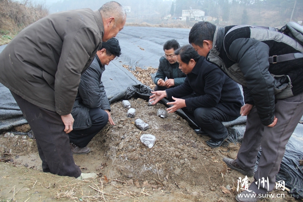 �����^(q��)�ƅf(xi��)�����(du��)ָ��(d��o)���r(n��ng)������Ǿ��Ķ�������