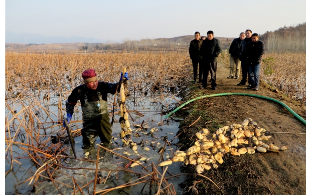 �Vˮ�в̺��(zh��n)�C(j��)�����ƏVɏź���B(y��ng)���q�ĸ�Ч�r(n��ng)�I(y��)�N�B(y��ng)ģʽ���r(n��ng)����