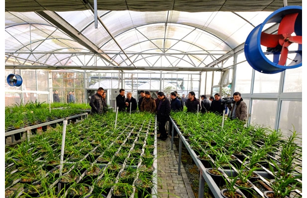 �S�����m���Nֲ���،�����ȫ��Ҏ(gu��)ģ�����Ʒ�N��ȫ���O(sh��)ʩ�����M(j��n)��ޥ�m����