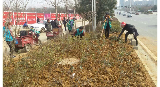 �S���Ј@�ֲ��T�����aֲ��·�G������ȱ�p��ľ