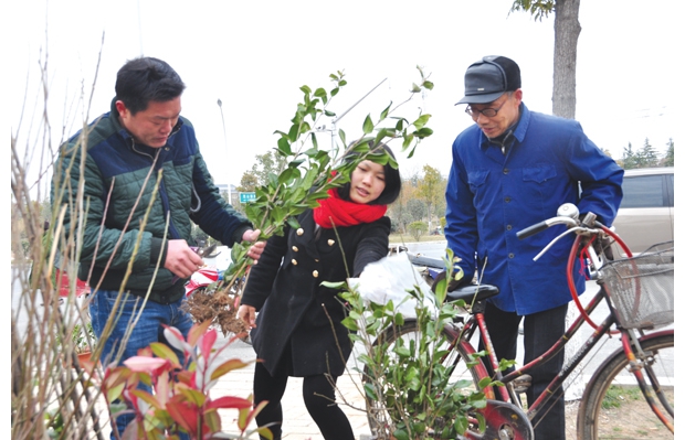 ����ֲ��æ