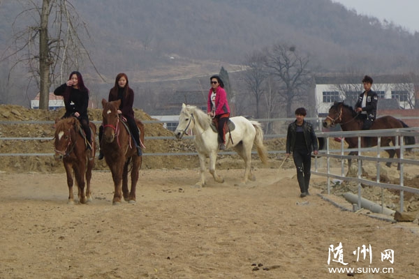 ����(zh��n)�����S�����׼��B(y��ng)�R��