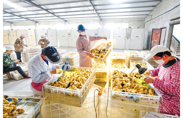 �����r(n��ng)����˾�������S�ݵط�Ʒ�N���S�����u��