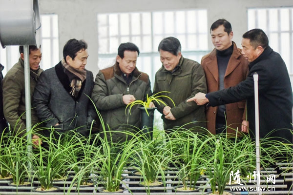 �f���(zh��n)��������ޥ�m֮�l(xi��ng)���l(f��)չ�m����(j��ng)��(j��)