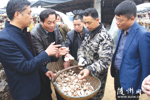 ��ʳ�þ��f(xi��)��(hu��)ؓ(f��)؟(z��)�˵��S�ݸ��^(q��)��(du��)���������㹽���a(ch��n)�M(j��n)�м��g(sh��)ָ��(d��o)