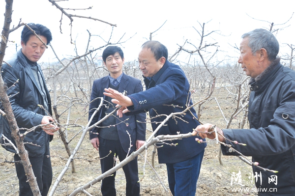 �S�h�Ƽ�����Ո��ľ�Nֲ���g(sh��)�ˆT���r(n��ng)���M(j��n)�Ќ��ü��g(sh��)���}�v��