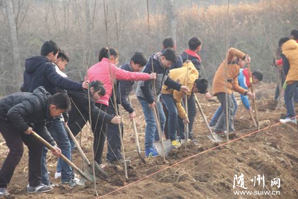 �L�����ČW(xu��)У�M���������L���(zh��n)�ռҴ��_չֲ����