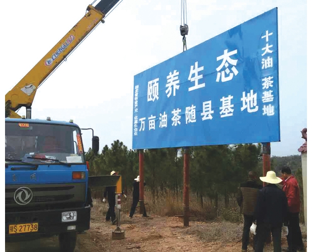 �����U�B(y��ng)�c�S�h�½��(zh��n)�����r(n��ng)�I(y��)������(li��n)�ְl(f��)չ